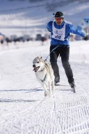 Lenk 2013